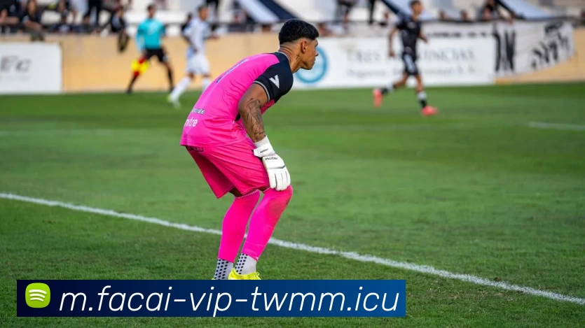 乐鱼体育注册发展历程