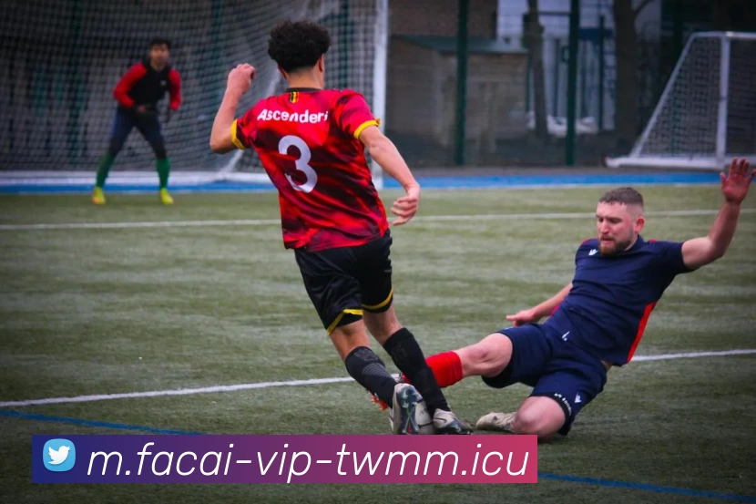 上海乒乓球队灵活性分析与战术创新的深度探讨